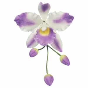 Cattleya orhidee – vormide komplekt