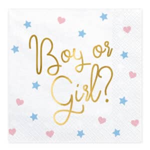 Boy or Girl – salvrätid, 20 tk