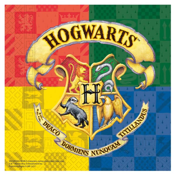 harry-potter-salvrätid