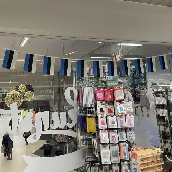 Eesti lipu vanik