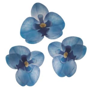 Sinised vahvlist orhideed, 3 tk