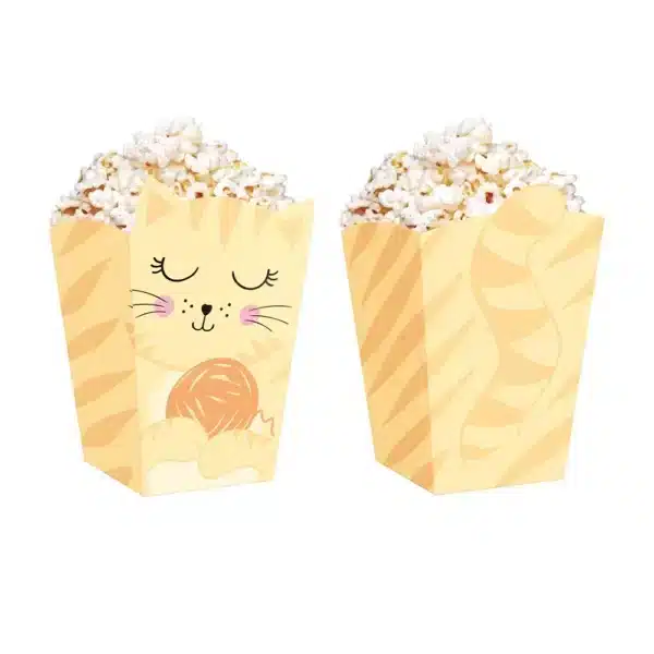 Kassidega popcorni topsid