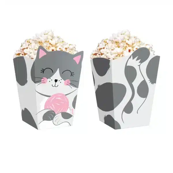 Kassidega popcorni topsid