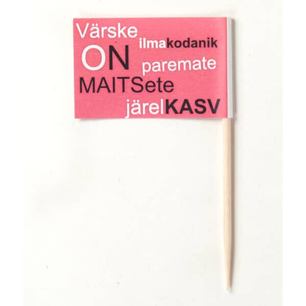 Saime tüdruku kaunistustikud